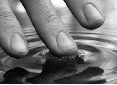 Istituto ICSB - Formazione in Biodinamica Craniosacrale - La neutralità: accedere alle forze di autoregolazione