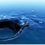 Istituto ITADO - Formazione in Biodinamica CranioSacrale: La Colonna Vertebrale e la Linea Mediana