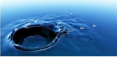 Istituto ITADO - Formazione in Biodinamica CranioSacrale: La Colonna Vertebrale e la Linea Mediana