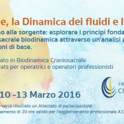 Il Neutrale, la Dinamica dei fluidi e la Quiete