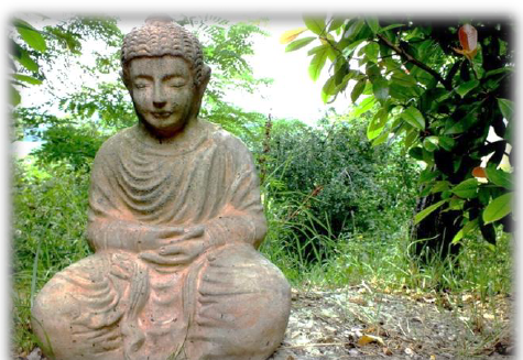 Ritiro di Vipassana