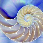 I.A.P.E. - Formazione in biodinamica craniosacrale: Linea mediana e Dermalgie Riflesse