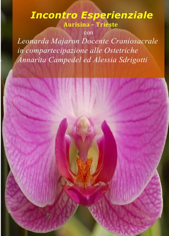 Il Benessere del Perineo