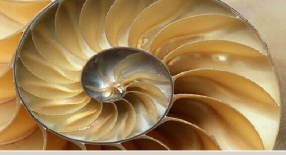 Centro Na.Me - L'operatore consapevole: LA VIA DEL CUORE