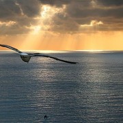 Supervisione Contemplativa basata sulla Mindfulness