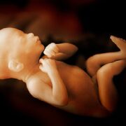 La Persona Prenatale - Seminario con Franklyn Sills e Cherionna Menzam