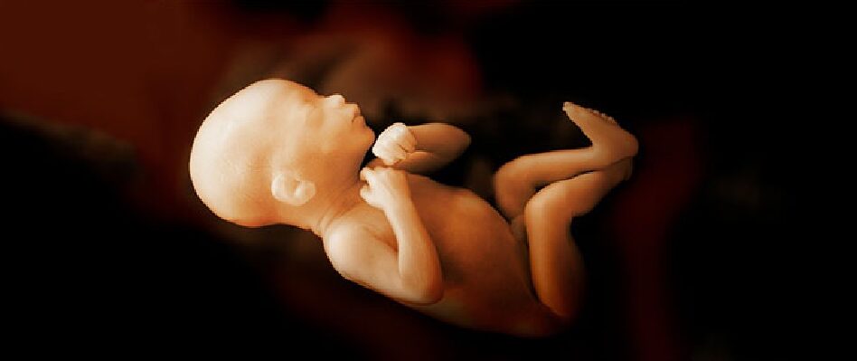 La Persona Prenatale - Seminario con Franklyn Sills e Cherionna Menzam