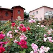 La malattia oncologica: management integrato del percorso terapeutico e della cura alla persona