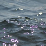 Introduzione alla disciplina Craniosacrale