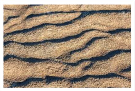 Seguire le orme della marea