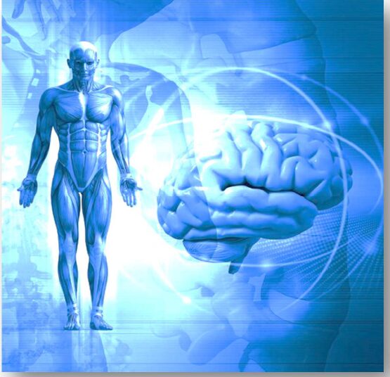 L'Osservatore e l'Osservato - con Talasi Giusy Marcantonio