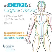 Le ENERGIE di Organi e Visceri con Paolo Casartelli