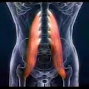 Tremore Neurogeno Applicato e Biodinamica Craniosacrale