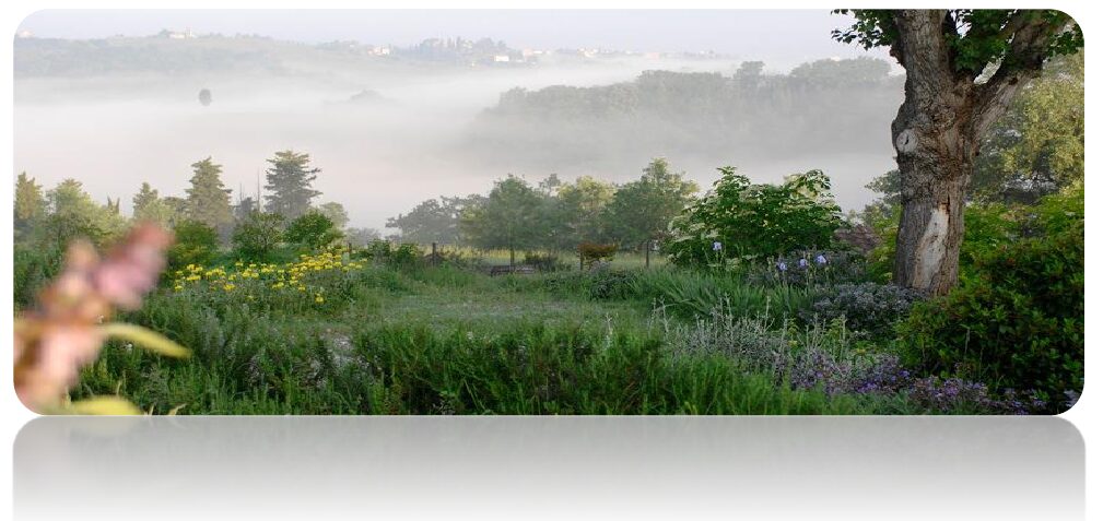 Presenza nella Quiete con Mike Boxhall