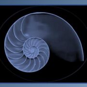 Corso di Polarity Biodinamica con M.Louise e Christopher Muller