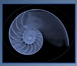 Corso di Polarity Biodinamica con M.Louise e Christopher Muller