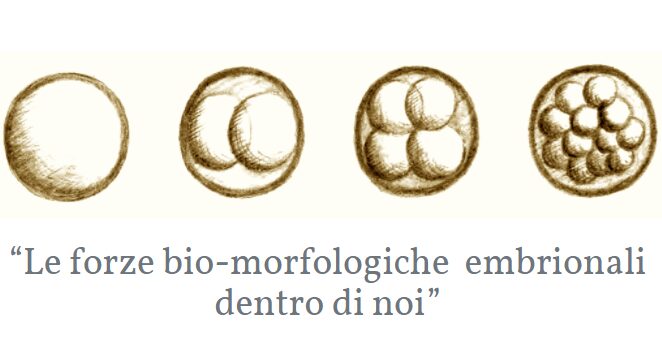 Le forze bio-morfologiche embrionali dentro di noi con Maderu