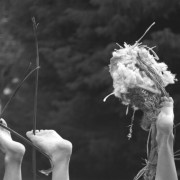 Original Nature: Una pratica di presenza  - seminario con Joan Davis