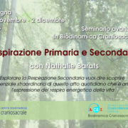 Respirazione Primaria e Secondaria con Nathalie Barats