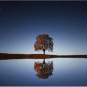 Dal Fare all'Essere: Presenza nella Quiete