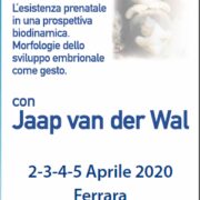 L'embrione dentro di noi