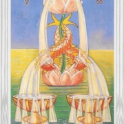 Reni, i calici della vitalità - Biodinamica degli organi