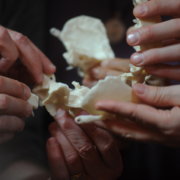 Workshop In Flow Romagna- Mindfulness e Biodinamica