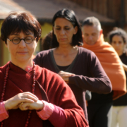 Embodiment In Biodinamica: Workshop Introduttivo Alla Nuova Formazione. Bologna