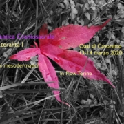 La Lateralità Tridimensionale