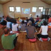 Mindfulness in Biodinamica – Workshop introduttivo al corso di Biodinamica Craniosacrale