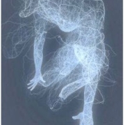 Dal non tempo al tempo presente - La memoria del corpo dall'embrione al tempo presente