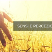 Webinar - Sensi e percezione: il tatto, la vita, il movimento e l’equilibrio.