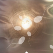 Webinar - Gli aspetti archetipici dell'esperienza prenatale