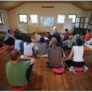 Mindfulness in Biodinamica: Workshop introduttivo alla nuova formazione - InFlow Romagna
