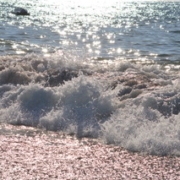 Introduzione alla Biodinamica Craniosacrale - Associazione Culturale MU