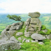 I cinque gesti della Biodinamica Craniosacrale: Il corpo della terra