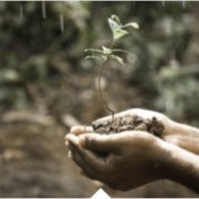 Webinar - Le profondità del sé: Incontrare la terra