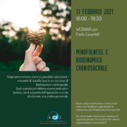 Webinar Soci Istruttori A.CS.I. : Mindfulness e biodinamica craniosacrale