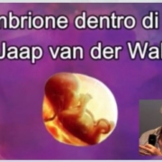 L'embrione dentro di noi - incontro online con Jaap van der Wal