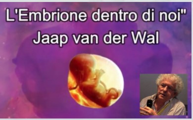 L'embrione dentro di noi - incontro online con Jaap van der Wal