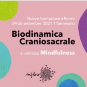 Il Corpo Presente - Primo Seminario di Formazione InFlow Romagna