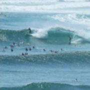 Webinar Soci Istruttori A.CS.I.:  Il senso di comunità