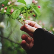 Il Contatto Biodinamico - Seminario introduttivo