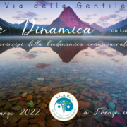 La Quiete Dinamica - con Luisa Brancolini