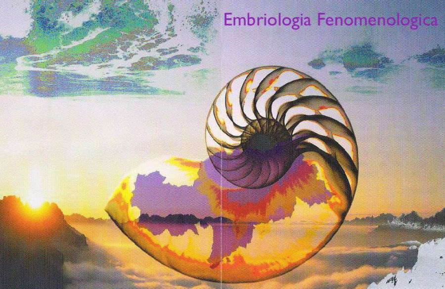 Seminario di Embriologia Fenomenologica