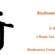 Qi Shu - Biodinamica e Meridiani Straordinari