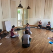 Conferenza Esperienziale Di Biodinamica Craniosacrale A Rimini