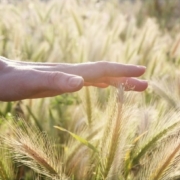 Biodynamics Experiences: Il tatto e l'esperienza tattile