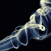 La Lateralità Tridimensionale: gli organi mesodermici