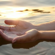 Webinar A.CS.I.: Il Tocco e la Quiete, al cuore della Biodinamica Craniosacrale